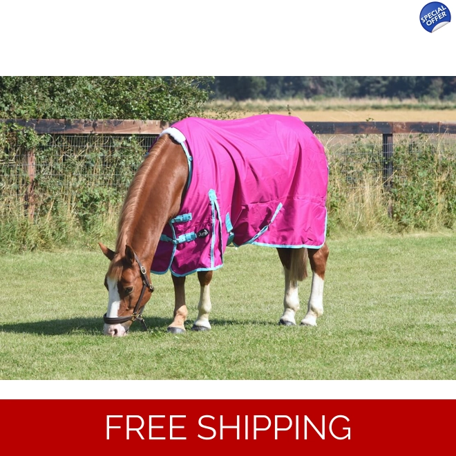 product Image for Light weight no fill rug Raspberry